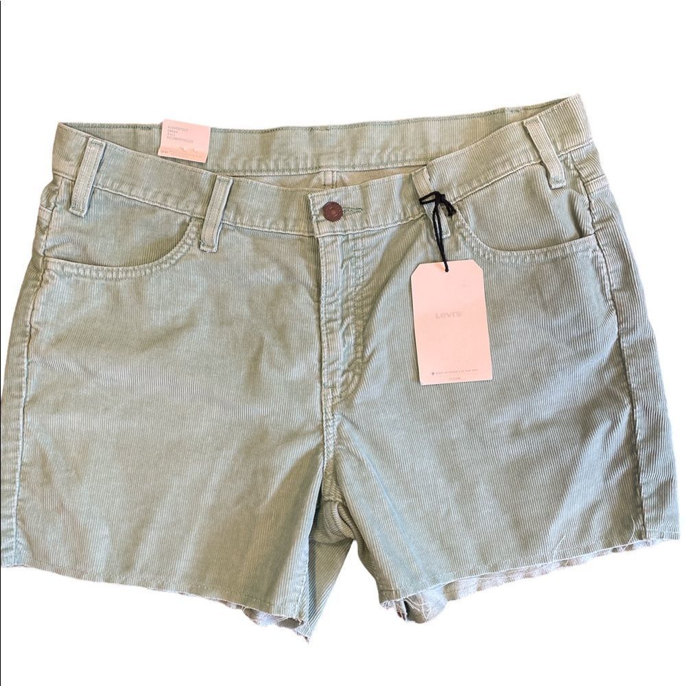 NWT Mint Cords from Levi’s